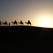 صورة للمجوس ووراءهم نور ساطع. 